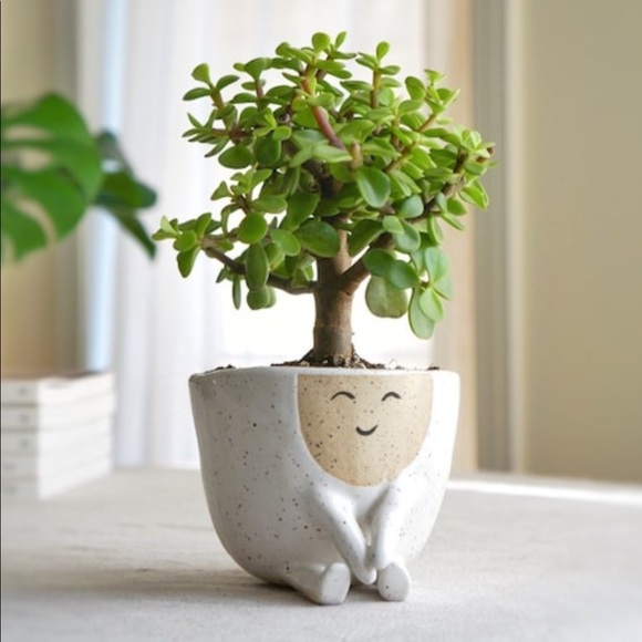 Meet your Posher, Jade - Picture 3 of 3